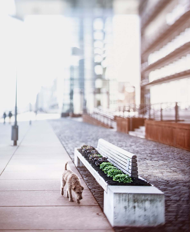 Die Zukunftsstadt | Urbaner Gartenbau The city of the future | urban gardening