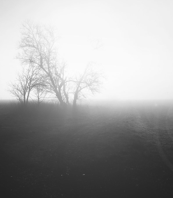 Licht und Schatten Light and Shadow